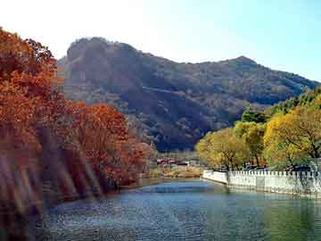 澳门二四六天天彩图库，烧碱市场价格